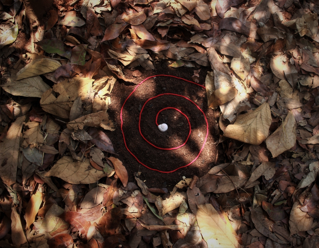 A white snail shell lies on the brown soil in the centre of the image. From the shell emerges a red spiral of thread which circles outwards till it meets an edge of fallen leaves that surround the circle of exposed earth. There is dappled sunlight covering the dried brown leaves that extends to the edges of the frame. 